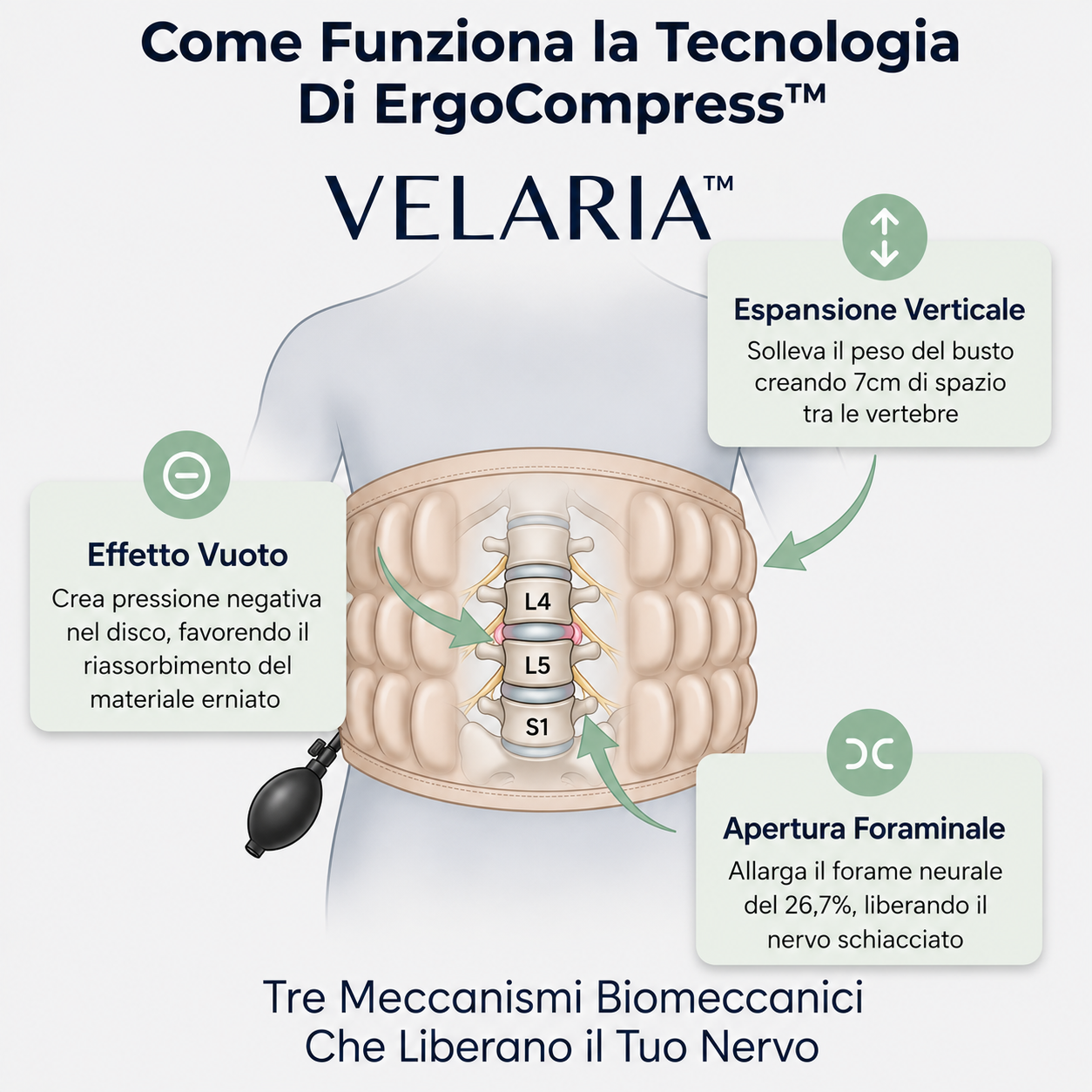 Cintura Lombare 2-in-1 ErgoCompress™ Decompressione & Sollievo dal Dolore Prezzo di listino