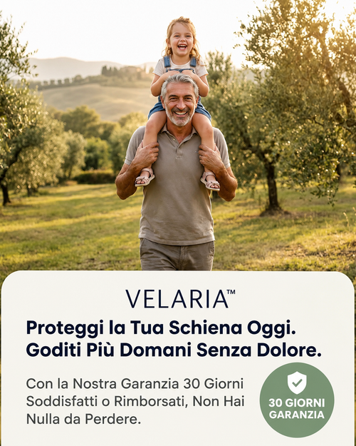 Cintura Lombare 2-in-1 ErgoCompress™ Decompressione & Sollievo dal Dolore Prezzo di listino