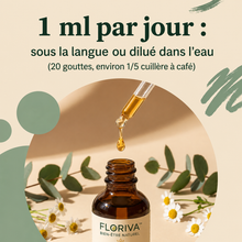 Drainant Lymphatique 4