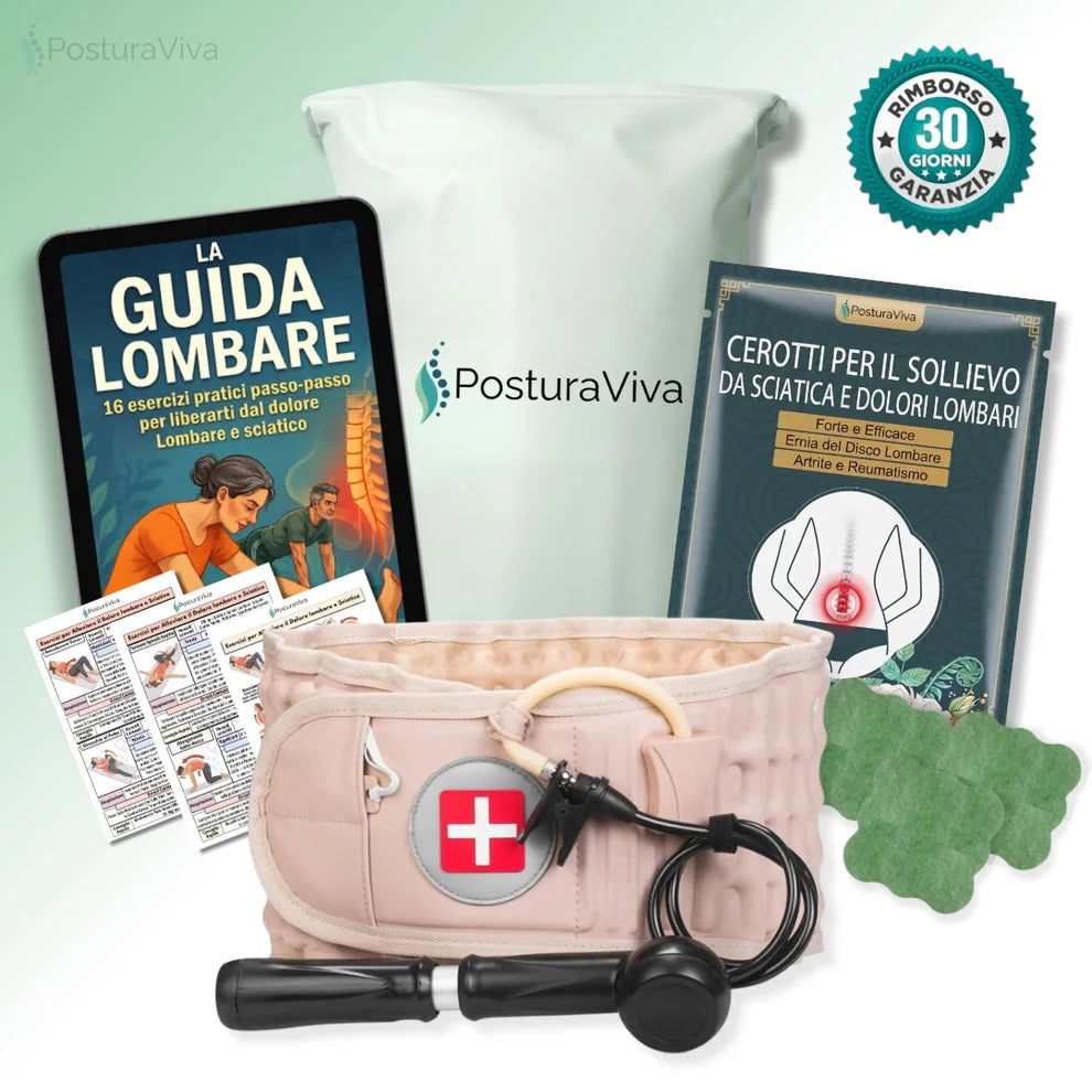 Cintura Lombare 2-in-1 ErgoCompress™ Decompressione & Sollievo dal Dolore Prezzo di listino