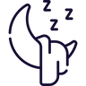Icône