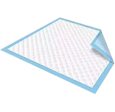 Disposable Pads