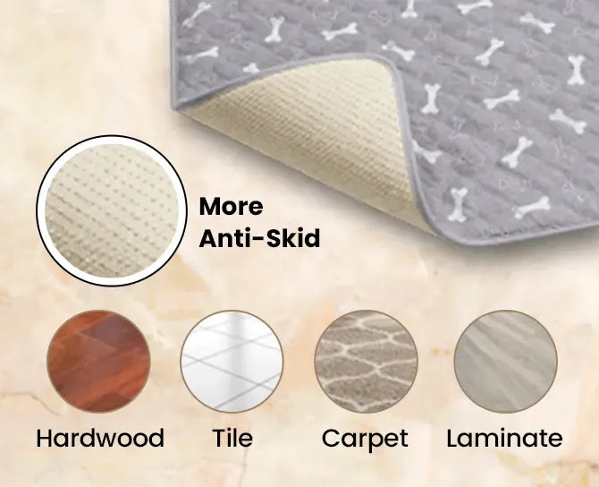 Non-Slip Base